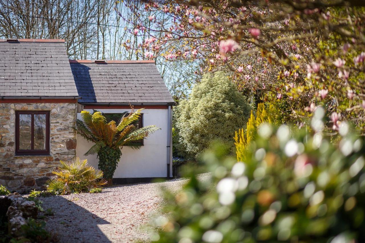 The Snug At Cornish Barn Holidays Truro Luaran gambar